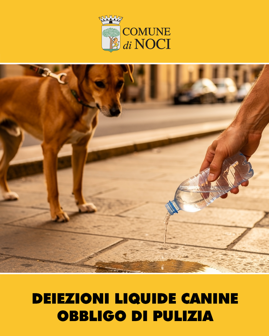 Decoro urbano e igiene pubblica: obbligo di pulizia con acqua per le deiezioni liquide dei cani...