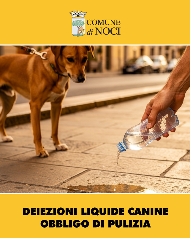 Decoro urbano e igiene pubblica: obbligo di pulizia con acqua per le deiezioni liquide dei cani...